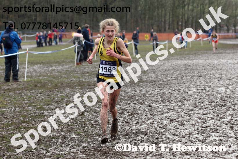 Womens under-17s 2018 British Inter Counties Cross Country Champs., Prestwold Hall, Loughborough. Photo: David T. Hewitson/Sports for All Pics